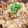 hotaru1234's cooksnap of when they made 穴子の炊き込みご飯柚子コショウ風味.