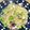 さちへ♪'s cooksnap of when they made ピリ辛！たこと枝豆のガーリックパスタ.