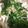 クックQVURB5☆'s cooksnap of when they made 138.もつ鍋.