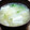 プルンバゴ's cooksnap of when they made かつおだしを使った大根と豆腐の味噌汁.