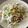 ＊★とも＊☆'s cooksnap of when they made 梅ドレッシングの和風大根サラダ.