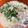 お塩と砂糖's cooksnap of when they made 和食の定番、簡単、おいしい！かす汁♪.