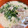 お塩と砂糖's cooksnap of when they made 和食の定番、簡単、おいしい！かす汁♪.