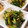 ∞ちぷ子∞'s cooksnap of when they made かぶの葉と桜えびの炒め煮☆常備菜.