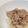 ぴよまめ。's cooksnap of when they made レンジで簡単！もやしの肉みそ掛け.