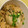 クックP8ZY7R☆'s cooksnap of when they made 牡蠣の炊き込みご飯.