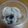 ミイシ's cooksnap of when they made 〖プルーンのヨーグルト漬け〗.
