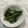春巻きママ's cooksnap of when they made 簡単！すっきり爽やか～春菊の辛子和え.