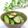 Satoco❋'s cooksnap of when they made 塩昆布で簡単浅漬け♪.