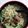 くーまんず's cooksnap of when they made ラーメンに！焼豚の代わりに焼き鳥の缶詰.