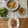 nok♡'s cooksnap of when they made ダイエット！しらたきパッタイ☆タイ風.