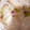 ふぁんころ's cooksnap of when they made 桜の花の野菜漬け.