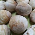 青しぐま's cooksnap of when they made 梅の実自家製酵母パン.