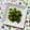 チェックのミニくま's cooksnap of when they made ピーマンとちりめんの簡単ごま和え.