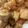 はちみつココア's cooksnap of when they made 鶏と梅の照り煮.