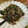 しゅうう's cooksnap of when they made 牛肉とほうれん草のオイスターソース炒め.