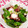 みなみ7's cooksnap of when they made ししとう☆タコの塩炒め.