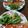 松潤LOVE♥️♥️'s cooksnap of when they made 簡単♡秋鮭のムニエル レモンバター醤油.