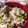 yasuka124's cooksnap of when they made めっっっっちゃごはんと合う！さば缶丼！.