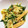 ninanina310's cooksnap of when they made 栃尾の油揚げと春キャベツのおかか和え.