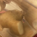 ﾌﾞﾚﾝﾀﾞ's cooksnap of when they made 生姜を新鮮に保存する方法.