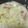toshio39's cooksnap of when they made 濃厚♡白菜のクリーム煮.