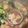 みしゅみしゅ☆岳ママ's cooksnap of when they made 鶏肉と大根の酒粕治部煮.