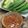 saki1010's cooksnap of when they made ∮ オクラの✰にんにく✰彡胡麻だれ ∮.