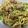 Rick_t's cooksnap of when they made 菜花とモヤシの塩あん焼きそば.