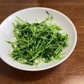 みやびんごーご's cooksnap of when they made 豆苗の塩ニンニク炒め.