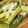 ぽんぽこ♩'s cooksnap of when they made 簡単にできる懐かしの味！ネギぬた！.