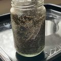 すえごん's cooksnap of when they made フープロ無で黒胡麻ペースト.