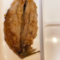 しゅうゆいちゃん's cooksnap of when they made 焼き魚苦手は☆ニシンの照り照り焼きで〜.