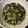 クック49L4Ho☆'s cooksnap of when they made ＊麺つゆで簡単＊ひじきの煮物＊＊.