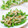 Satoco❋'s cooksnap of when they made 簡単☆ピーマンとえのきの白だしバター炒め.