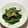 ♪ゆかたん♡'s cooksnap of when they made お箸がすすむほうれん草お浸し.
