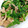 waka0812's cooksnap of when they made 美味★簡単★豚小間肉とほうれん草の炒め物.