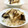 horseland's cooksnap of when they made 秋のきのこでおこわ作りました！.
