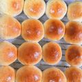 クック139N1J☆'s cooksnap of when they made チョコパンHB☆ミニ.