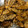 ☆すぬぴっぴ☆'s cooksnap of when they made ごぼうの甘辛揚げ！.