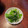 くろねこひめこ's cooksnap of when they made ほうれん草のしらすと海苔の和え物.