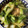 kanana1211's cooksnap of when they made 簡単♪エビと青梗菜のオイスター炒め.