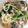 まい0202's cooksnap of when they made 小松菜と豚肉の和風パスタ.