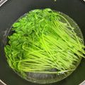 JANG♡'s cooksnap of when they made 豆苗の茹で方.