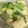feel872's cooksnap of when they made ごま風味☆小松菜と厚揚げの炒め物.
