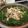 クックGW9ZS1☆'s cooksnap of when they made 豚バラと水菜の鍋.