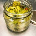 レシピっぴ's cooksnap of when they made かぶの葉の漬物.