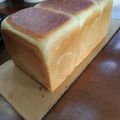 後藤クロ's cooksnap of when they made 【朝の時短！】オーバーナイト生食パン.