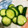クックCKWZHQ☆'s cooksnap of when they made やみつき！簡単きゅうりの漬物.
