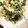 ちょこチーズ's cooksnap of when they made サクサク料亭みたい♪天ぷらの衣＊使いきり.